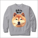 忘れらんねえよとヴィレヴァンのコラボトレーナーが登場