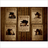 ミソッカス、アルバムリード曲「ゴーストシップラブストーリー」のMV解禁！