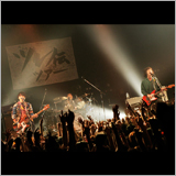 忘れらんねえよ、Zepp DiverCityワンマンが決定！