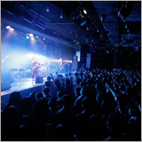 Galileo Galilei、日本武道館公演が急遽決定！