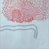 イルリメが参加するユニットBaleine 3000がニューアルバムを7月29日にリリース