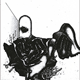 コーネリアス、11年ぶりとなるニューアルバムのリリースが決定！