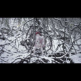 客も歌い演奏する「清 竜人TOWN」、全国ツアーを開催