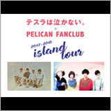テスラは泣かない。x PELICAN FANCLUB、スプリットツアーの開催が決定