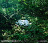 藤原ヒロシ、ニューアルバム『slumbers』リリース後初となるライブツアー「slumbers live 2018」開催決定！