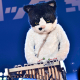 むぎ（猫）、「ビクターロック祭り2019」ライブレポート！（BARK STAGE）