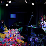 FLOWER FLOWER、配信ライブ「インコの気まぐれ」を行い早くも第2回開催を発表！