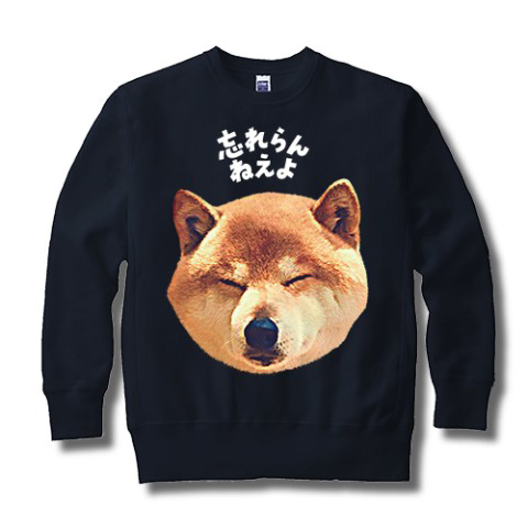 忘れらんねえよ×ヴィレッジヴァンガード「ワンワントレーナー」ネイビー