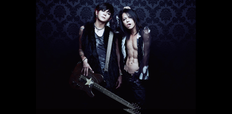 VAMPS