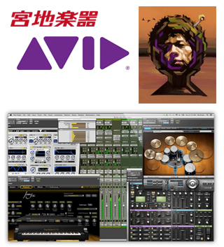 AVID with Miyaji