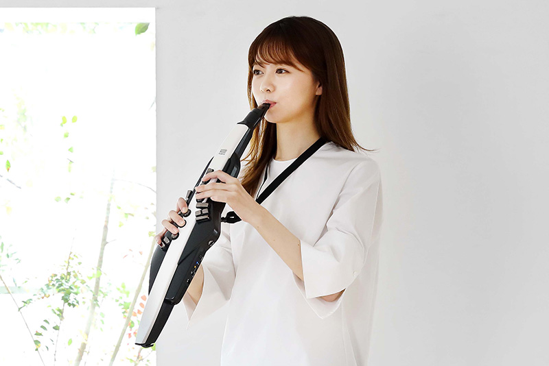 「Aerophone AE-20」