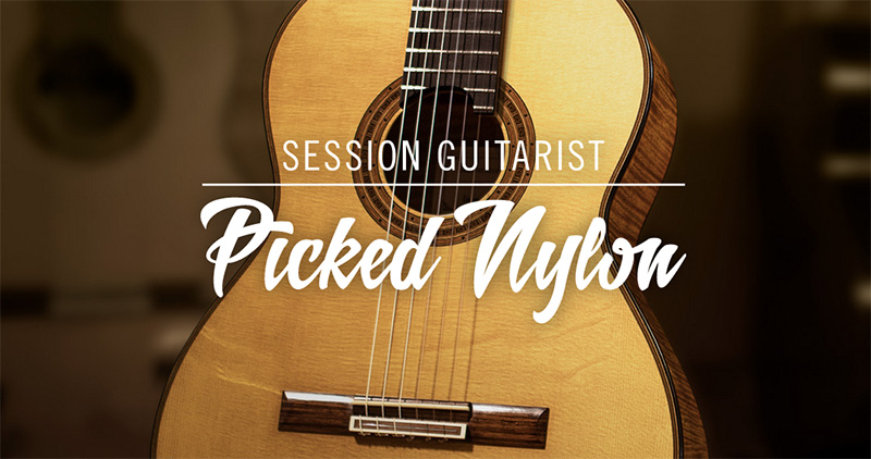 SESSION GUITARIST – PICKED NYLON