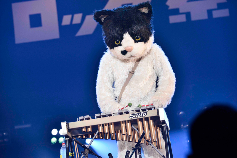 むぎ（猫）