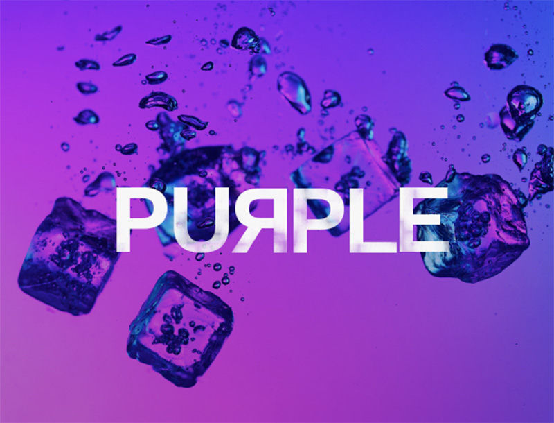 スタインバーグPurple