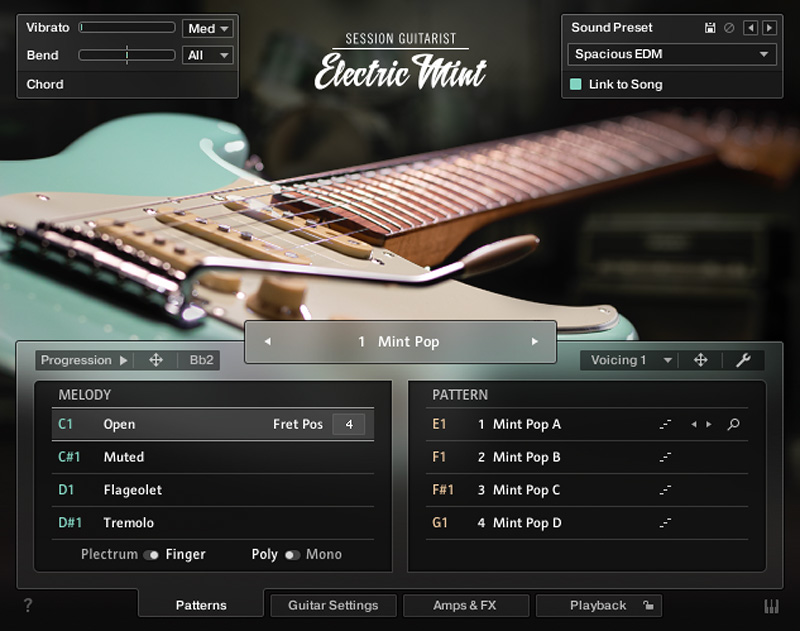 Native Instruments　SESSION GUITARIST - ELECTRIC MINT