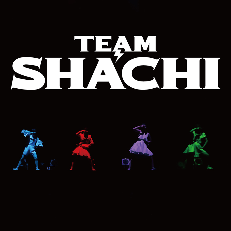 TEAM SHACHI(読み:シャチ)